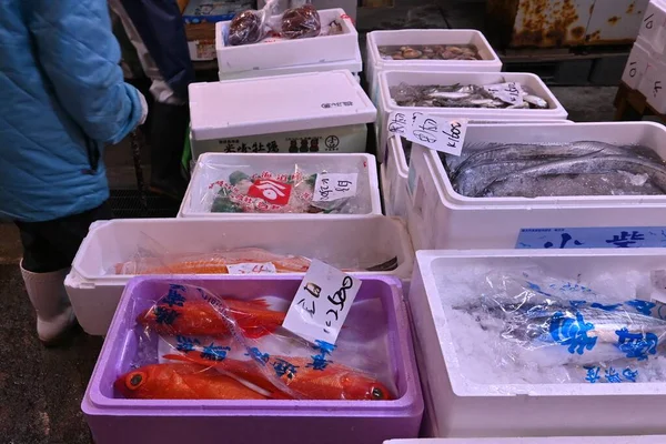 日本の魚市場の朝市の様子 — ストック写真