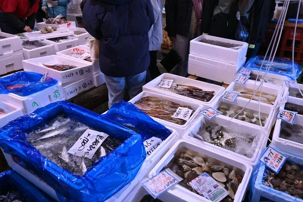 Mattina Scena Del Mercato Del Pesce Giapponese — Foto Stock