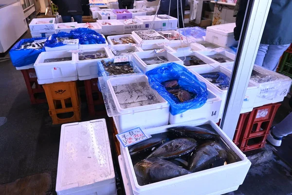 Ранковий Ринок Японської Рибної Промисловості — стокове фото
