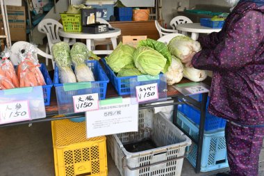 Japon marketi manzarası. Taze balık, et, sebze ve meyve gibi çeşitli malzemeler mevcuttur..