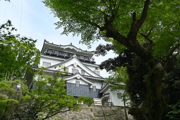 Japońska Wycieczka Zamek Okazaki Prefektura Aichi Mieście Okazaki Znany Tego — Zdjęcie stockowe