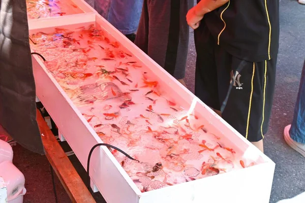 Japonya Gezisi Japon Balığı Kepçeleme Oyunun Adı Kingyo Sukui Yaz — Stok fotoğraf