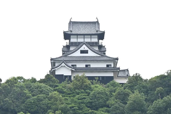 Japonia Zwiedzanie Zwiedzanie Zamku Zamek Inuyama Inuyama Prefektura Aichi Zamek — Zdjęcie stockowe