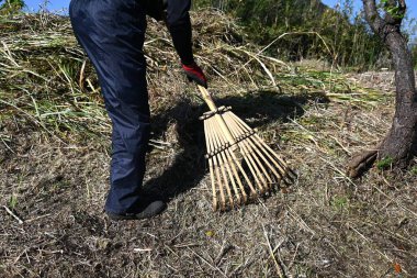 Nehir kıyısında çim biçme işi. İşçilerin işyerlerinin arkaplan materyalleri.