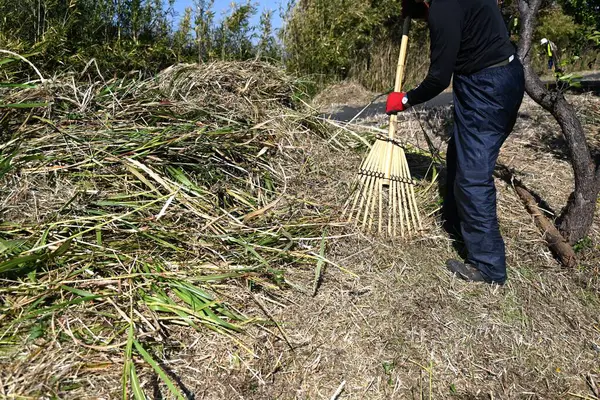 Nehir kıyısında çim biçme işi. İşçilerin işyerlerinin arkaplan materyalleri.