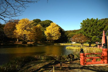  Japonya 'ya turistik gezi. 'Kanazawa-Hakkei Shomyoji Tapınağı'. Kanazawa Koğuşu, Yokohama Şehri. Tapınağın merkez göletine yansıyan kule kapısı ve ginkgo ağaçları manzarası.