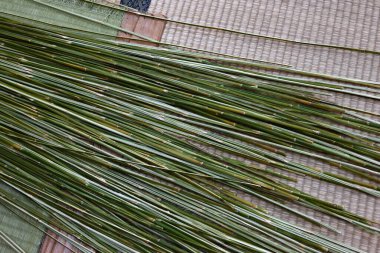  Japonya gezisi. Japon el yapımı geleneksel el sanatları. Bambu süzgeci yapıyorum. Katsuyama, Fujikawaguchiko Kasabası, Yamanashi Bölgesi.