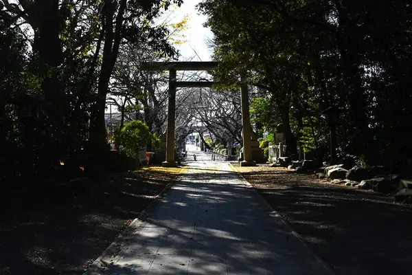  Bir Japon tapınağının çevresi. Japonya 'da tanrılara tapmaya adanmış 100.000' den fazla tapınak var. Bu da Japonların kendilerini tanrılara yakın hissettikleri anlamına geliyor..