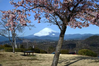 Dağ 'ın çeşitli sahneleri. Fuji. Japonya 'nın ünlü dağı, Mt. Fuji, günün ve mevsimin saatlerine bağlı olarak çeşitli ifadeler gösteren harika bir dağdır..