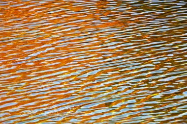 Soyut doğal manzara. Soyut sahne arkaplanı materyali.