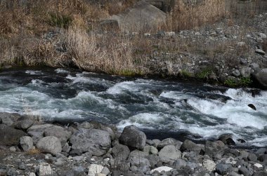 Japonya 'da bir pınar deresinde akan su manzarası. Doğal arka plan materyali.