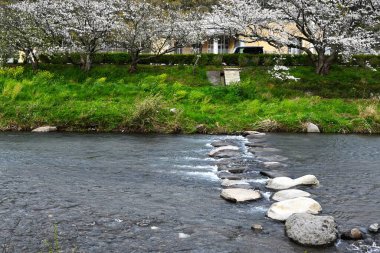 Japonya 'da bir pınar deresinde akan su manzarası. Doğal arka plan materyali.