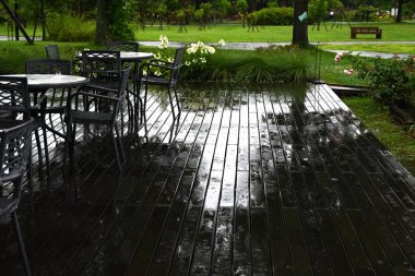 Yağmurlu bir günde manzara. Yağmur mevsimi iç karartıcı olabilir, ama bazı sahneler sadece yılın bu zamanında görülebilir..