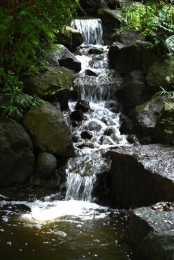 Doğal bir parkın su yolundaki su akışı. Su hareketinin arka plan materyali.