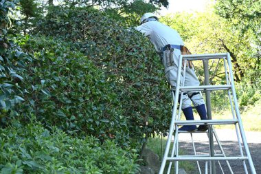 Parkta bakım ve güzelleştirme işi var. Parkı güzelleştirmeye çalışan insanların görünüşü çok güzel ve onlara saygı duyuyorum..