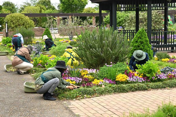 Место проведения ремонтно-благоустроительных работ в парке. Вид людей, которые работают над благоустройством парка, очень красивый, и я их уважаю.