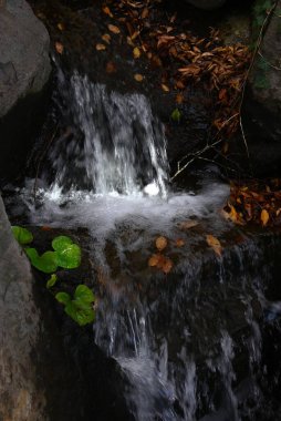 Su yüzeyinde güzel yansımalar. Güzel doğal güzellik arka plan materyali.