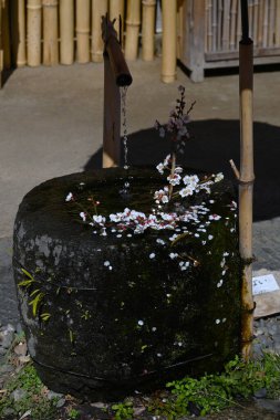 Japon Turizmi - Hinamatsuri (Bebek Festivali). Kızların büyümesi ve mutluluğu için dua eden Hinamatsuri 'de çeşitli Hina bebekleri sergileniyor..
