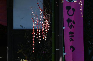 Japon Turizmi - Hinamatsuri (Bebek Festivali). Kızların büyümesi ve mutluluğu için dua eden Hinamatsuri 'de çeşitli Hina bebekleri sergileniyor..