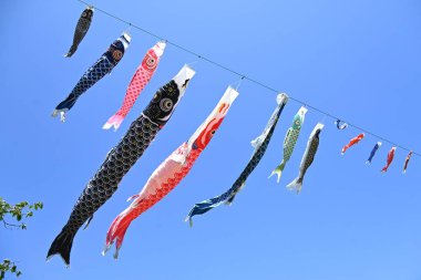  Mavi gökyüzünde yüzen Japon sazan balığı şekilli flamalar (Koinobori süslemeleri). Erkeklerin büyümesini kutlayan geleneksel bir Japon kültürü..