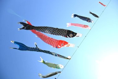  Mavi gökyüzünde yüzen Japon sazan balığı şekilli flamalar (Koinobori süslemeleri). Erkeklerin büyümesini kutlayan geleneksel bir Japon kültürü..