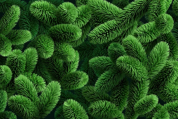 Putz Fichtenhintergrund Mit Immergrünen Nadelzweigen Kiefernzweigen Tannenbaum Nahaufnahme — Stockfoto