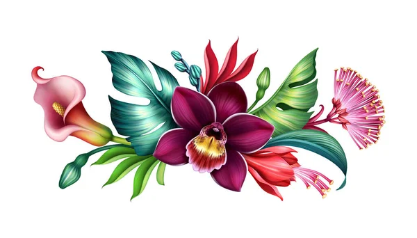 Cyfrowa Ilustracja Poziomej Kompozycji Kwiatowej Kompozycja Botaniczna Różnorodnymi Kwiatami Tropikalnymi — Zdjęcie stockowe
