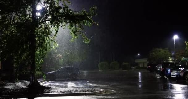 Park Alanı Gece Sokağı Ian Raleigh Abd Açtığı Yoğun Yağmurun — Stok video