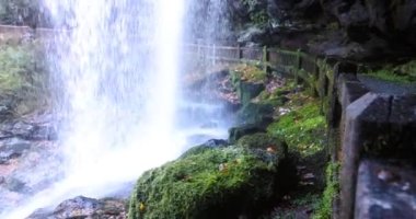 Dry Falls Şelalesi, Nantahala Ulusal Ormanı, Kuzey Carolina. Turistik ilgi, Appalachian dağlarındaki doğal şelalenin arkasında bir patika.