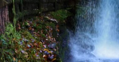 Genç yetişkin adam, turistler, Kuzey Carolina 'daki Nantahala Ulusal Ormanı' ndaki Dry Falls şelalesinin manzarasının tadını çıkarırlar.
