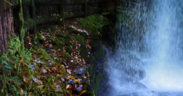 Young Adult Man Tourist Enjoy View Dry Falls Waterfall Nantahala — Stock Video