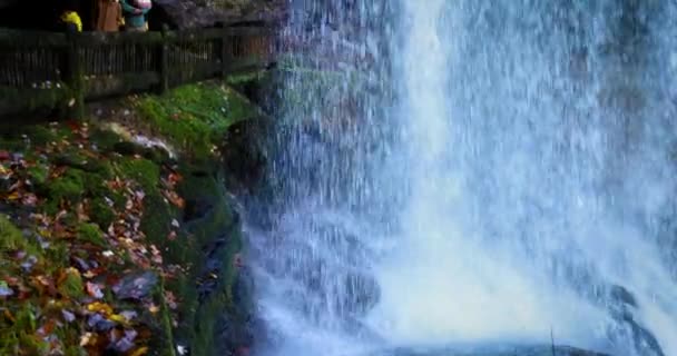 Família Turistas Estão Andando Atrás Cachoeira Dry Falls Atração Turística — Vídeo de Stock