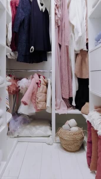 Walk Wardrobe Closet Apparels Hanger Rails Shelves — Stock Video