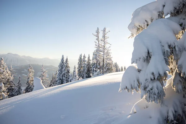 Téli Természet Táj Hóval Borított Fák Osztrák Alpok Hóesés Után — Stock Fotó