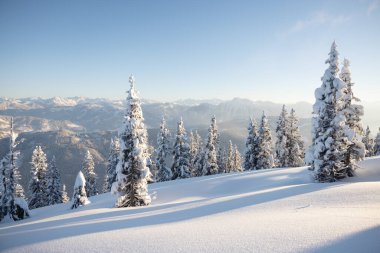 Avusturya Alplerinde kış. Beyaz Noel konsepti. Yüksek kalite fotoğraf