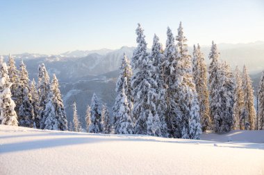 Avusturya Alplerinde kış harikalar diyarı. Yüksek kalite fotoğraf