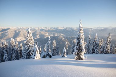 Dağlarda kış. Bol karlı harika bir kış manzarası. Kış tatili konsepti. Yüksek kalite fotoğraf