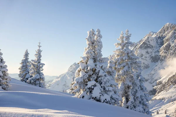 Téli Jelenet Alpesi Téli Táj Erdő Alpokban Naplementekor Kiváló Minőségű — Stock Fotó