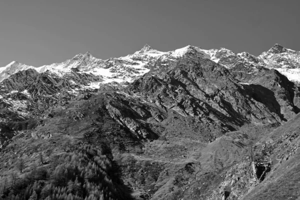 Güney Sviçre Deki Mischabel Grubu Nun Düşüşünde Tek Renk Etkisi — Stok fotoğraf