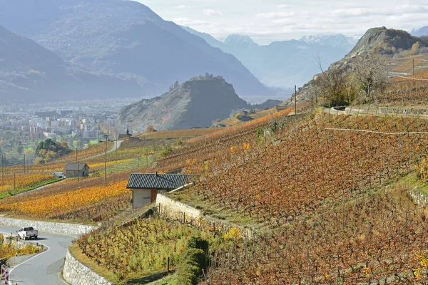 Güney Sviçre Kasabası Valais Başkenti Sion Üzüm Bağları Şatolarıyla Sonbaharda — Stok fotoğraf
