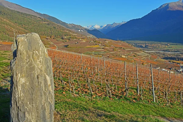 Ein Uralter Stehender Stein Überragt Die Weinberge Den Alpen — Stockfoto