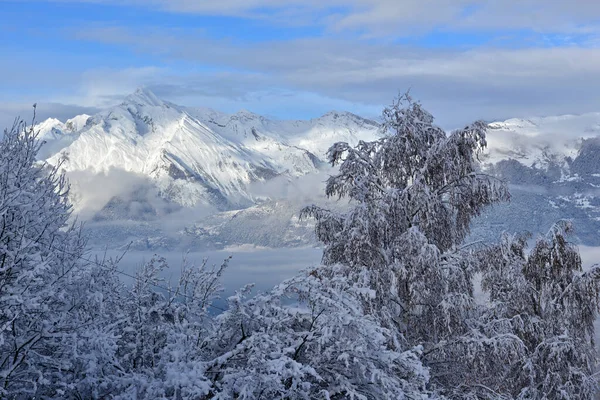 Mavi Gökyüzünün Altında Taze Karla Kaplı Dağların Manzarası — Stok fotoğraf
