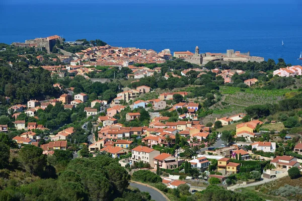 Pohled Přístav Collioure Středomoří Jižní Francii Blízkosti Španělské Hranice Známý — Stock fotografie