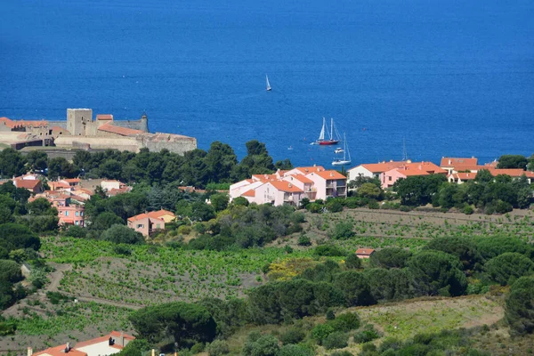 Vista Sobre Puerto Collioure Mediterráneo Sur Francia Cerca Frontera Española — Foto de Stock