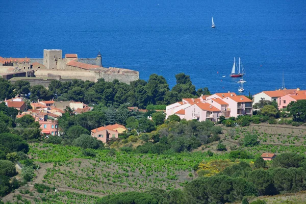 Vista Panorâmica Porto Collioure Mediterrâneo Sul França Perto Fronteira Espanhola — Fotografia de Stock