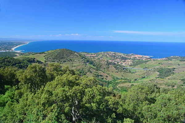 Vista Panoramica Sul Porto Collioure Sul Mediterraneo Nel Sud Della — Foto Stock