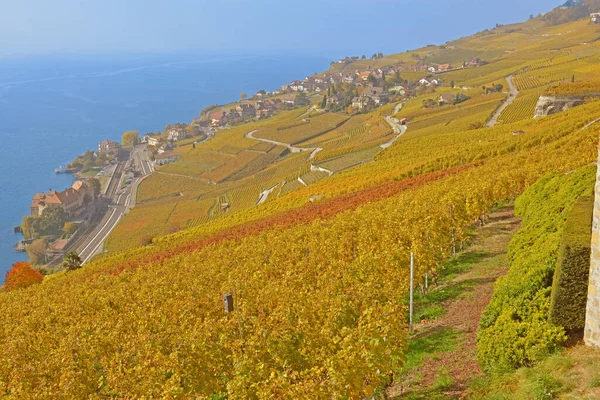 Weinberge Mit Blick Auf Den Genfer See Unesco Weltnaturerbe Lavaux — Stockfoto