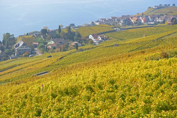 Weinberge Genfer See Unesco Weltnaturerbe Lavaux Herbst Aufgenommen Schweizer Kanton — Stockfoto