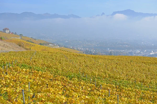 联合国教科文组织在日内瓦湖畔的葡萄园列出了拉沃地区 背景是韦维镇和阿尔卑斯山 在沃州的瑞士拍摄的 — 图库照片