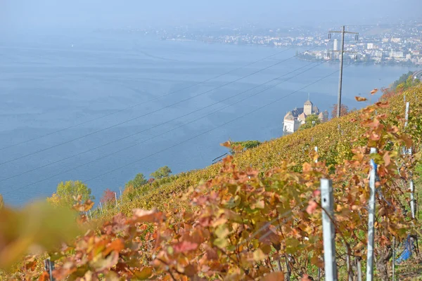 日内瓦湖 蒙特勒市和瑞士奇隆城堡 秋天拍的 — 图库照片